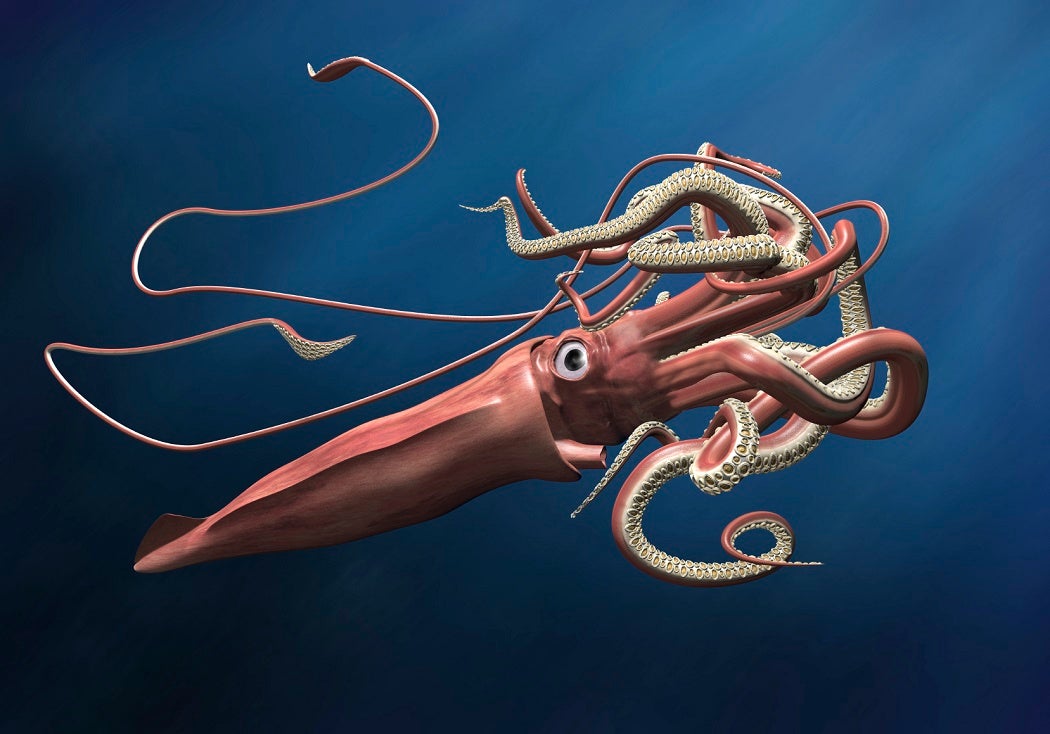 Giant squid lurking in the depths of a deep, dark ocean