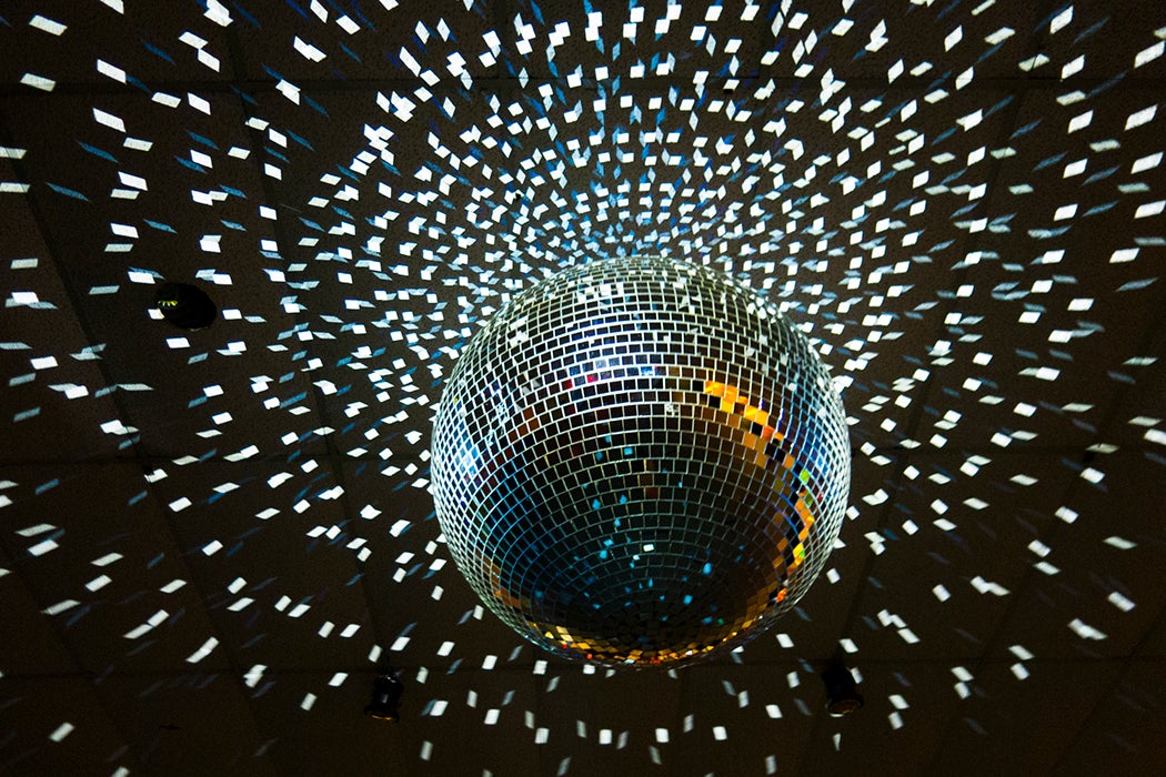 disco backlash