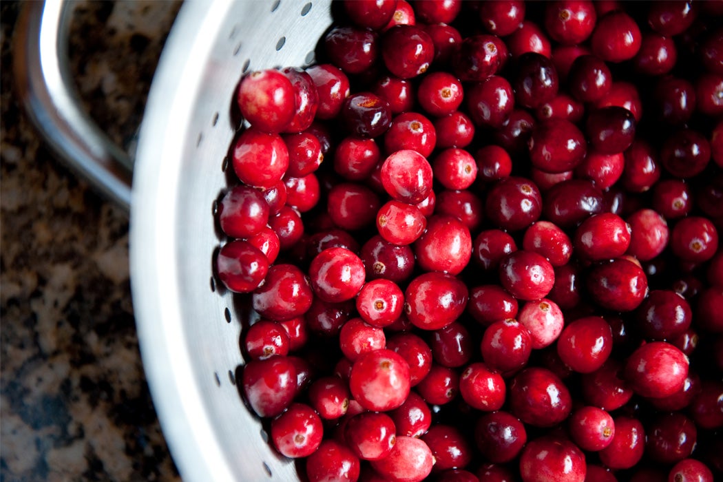 Cranberries in a strainer