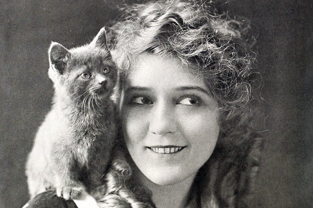 Mary Pickford, 1916