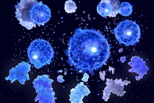 T helper cells and interleukin molecules