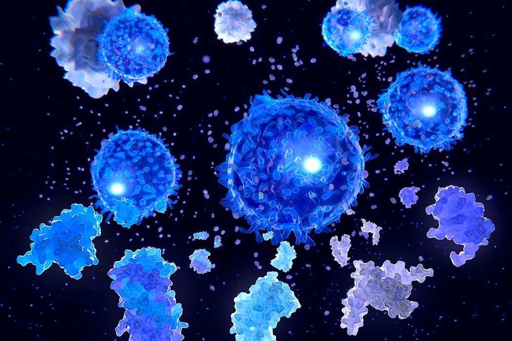 T helper cells and interleukin molecules