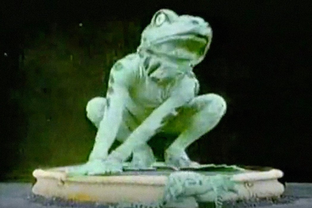 A film still from The Frog