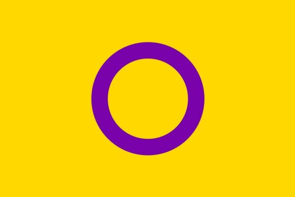 The Intersex pride flag