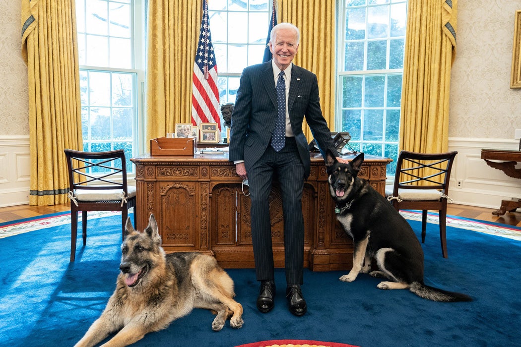 President Joe Biden poses with the Biden family dogs Champ and Major Tuesday, Feb. 9, 2021, in the Oval Office