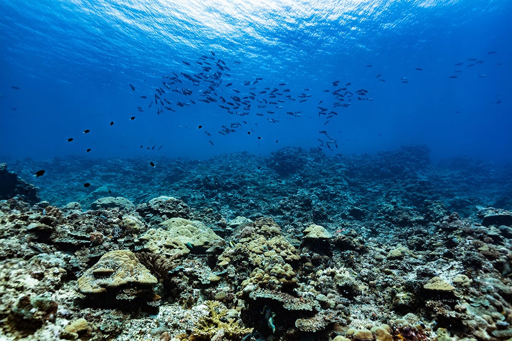 Palau, Micronesia