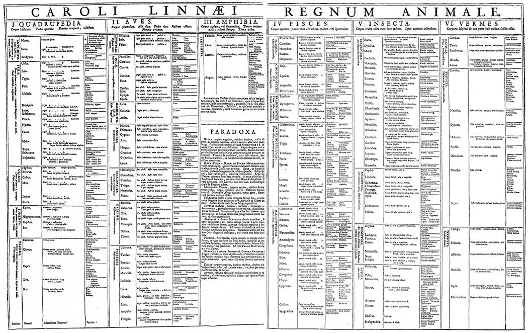 Table of the Animal Kingdom (Regnum Animale) from Carolus Linnaeus's first edition (1735) of Systema Naturae.