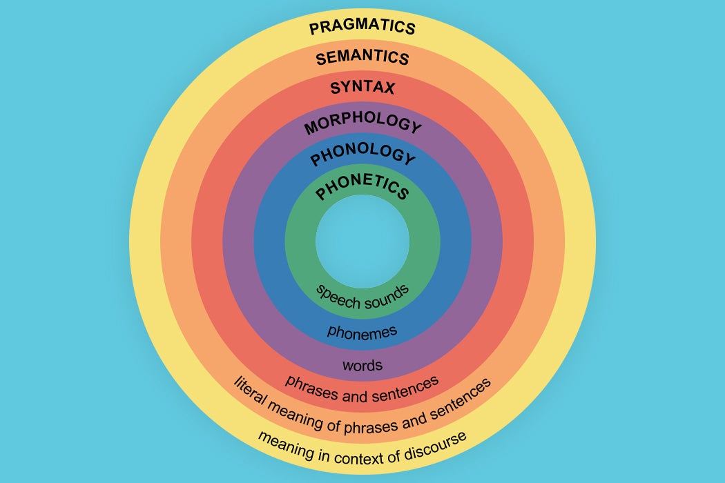 Major levels of linguistic structure