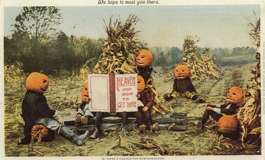 A halloween postcard from 1901