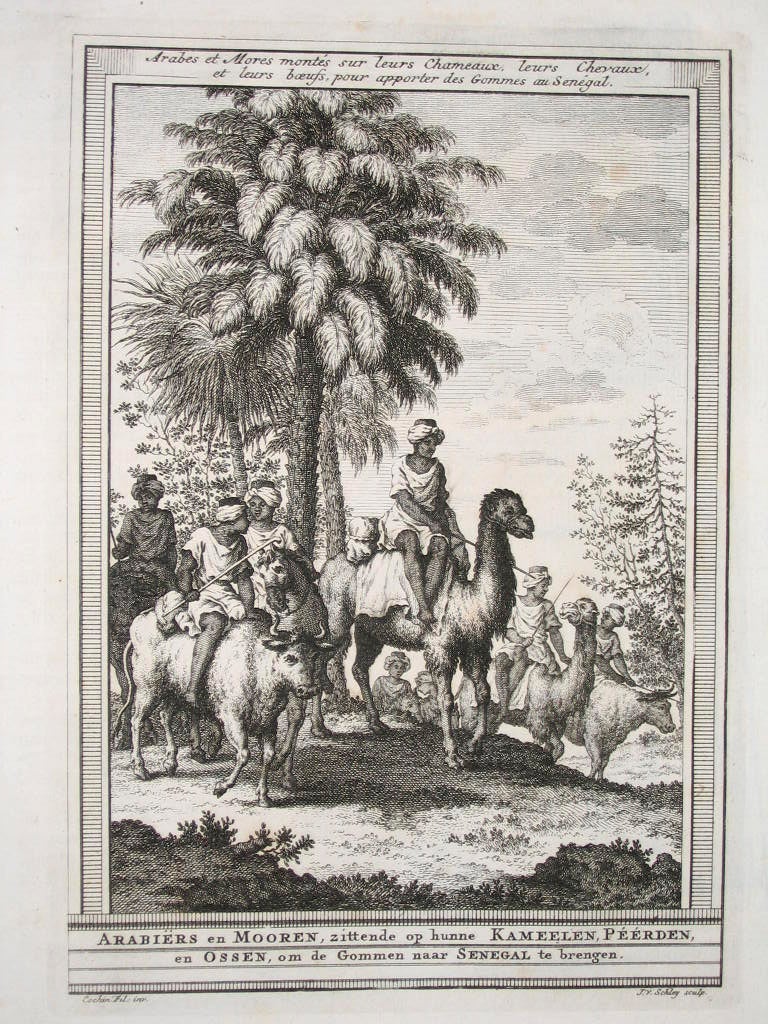 Engraving of Arabic and Moor traders, mounted on their camels, horses and oxen, bringing gum arabic to Senegal. Taken from the book Histoire Générale des voyages by Antoine François Prévost. Illustration by Jacques-Nicolas Bellin, between 1746 and 1759.