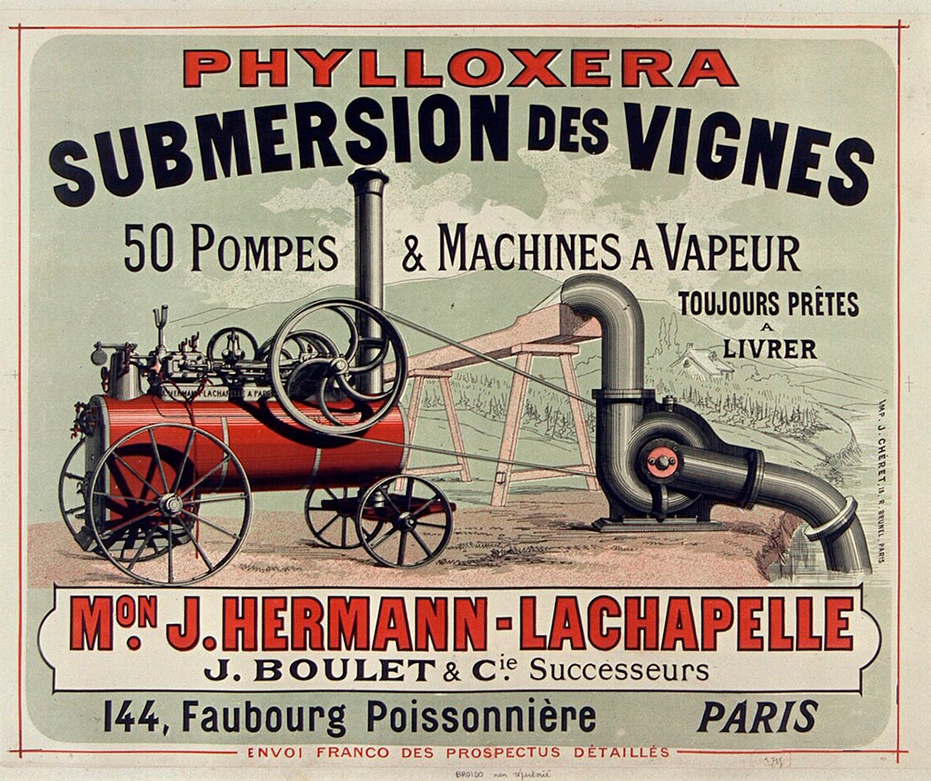 A machine for flooding a vineyard. via Wikimedia Commons https://commons.wikimedia.org/wiki/File:Phylloxera,_Submersion_des_Vignes,_50_pompes_et_machines_à_vapeur...,_Mon_J._Hermann-Lachapelle..._-_affiche_-_Jules_Chéret_-_btv1b9003286f.jpg