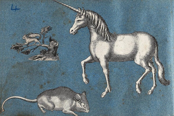 A unicorn, a squirrel and a mouse. Cut-out engravings pasted onto paper
