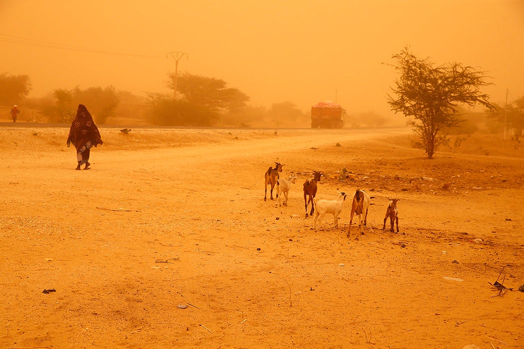 Harmattan wind in Senegal