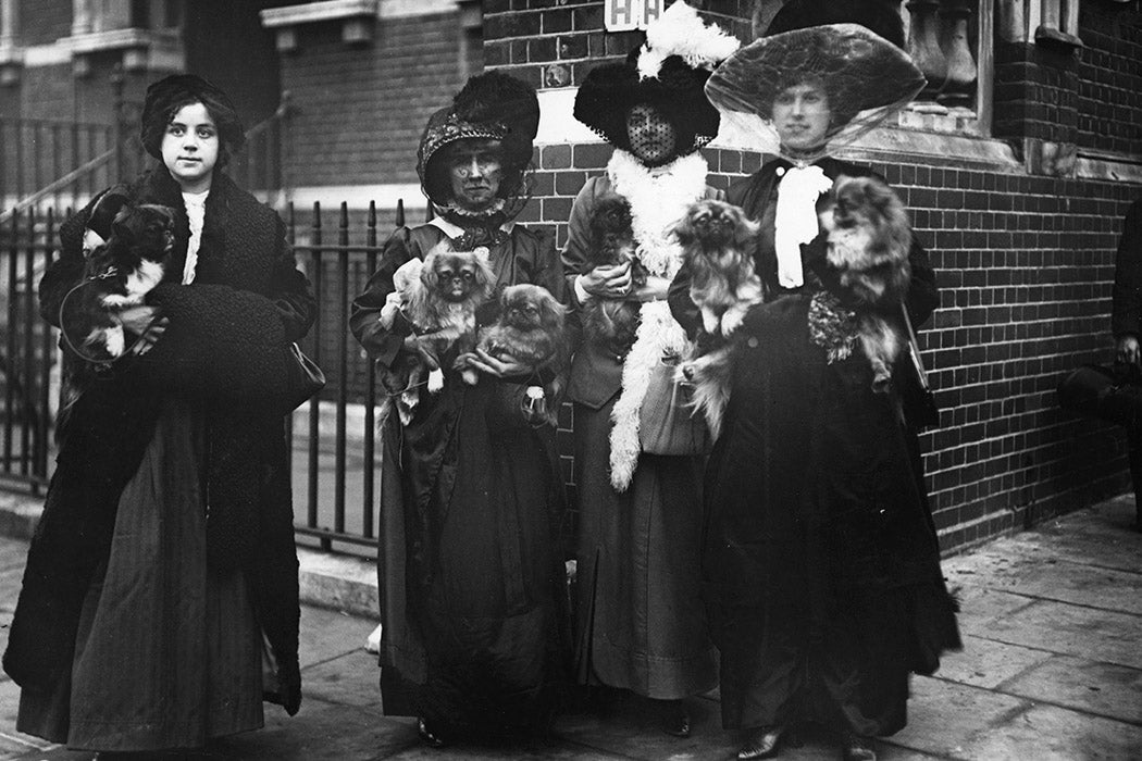 Pekinese competitors arrive in the arms of their owners at the Wimbledon Dog Show, 1912