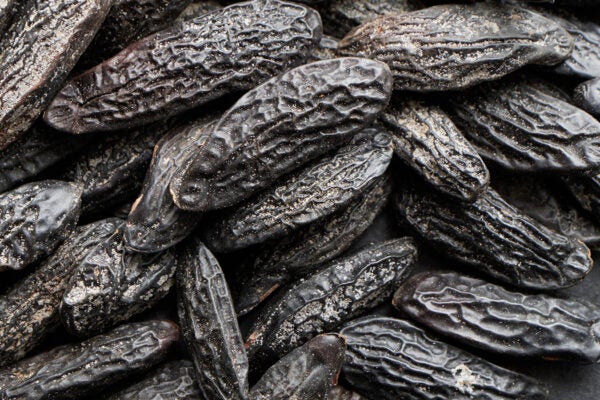 Tonka beans