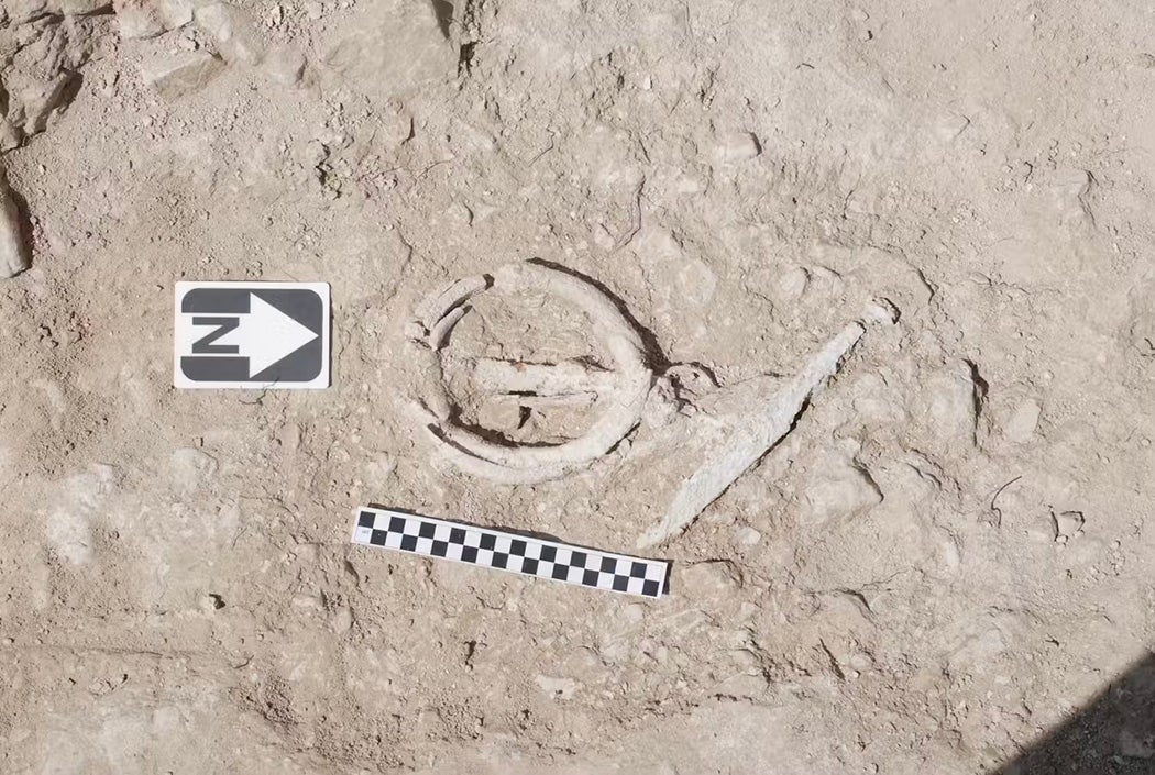 Bag loop handle that was made from Ivory. Duncan Sayer 2025