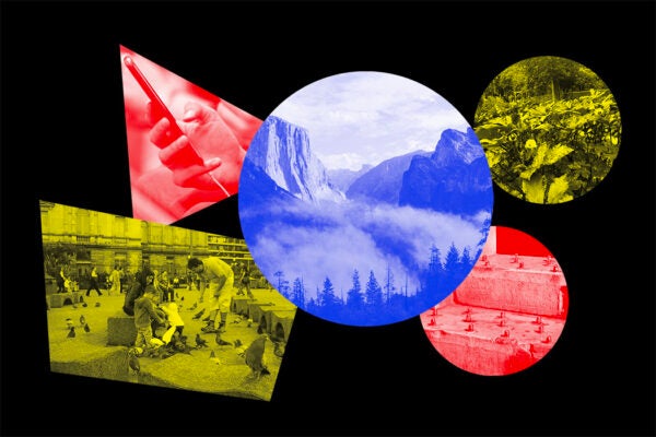 A collage of colorful shapes that include images of different public spaces.