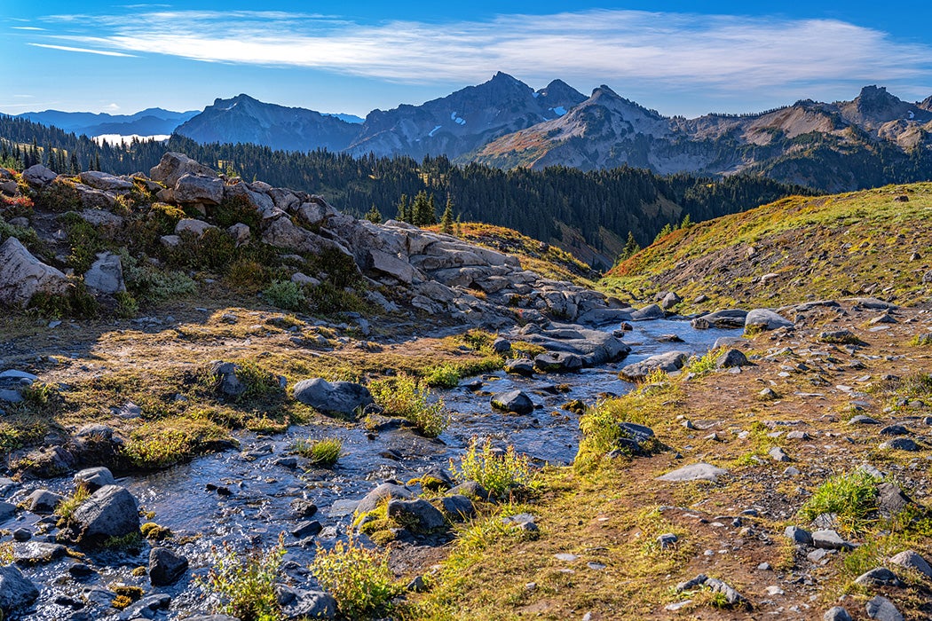 A view of the landscape seen along the Golden Gate Trail in the Paradise area of Mount Rainier National Park, Washington.